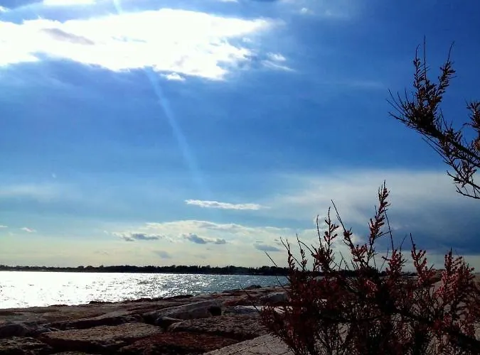 بيت ضيافة Venice Movie