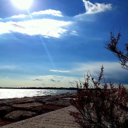 Гостевой дом Venice Movie