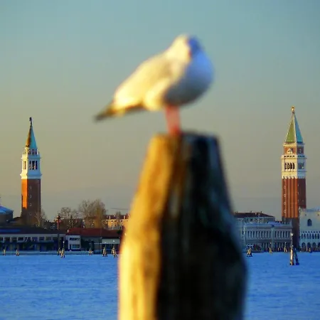 Pensión Venice Movie