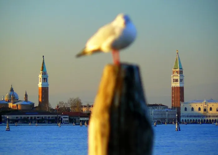 Casa de hóspedes Venice Movie